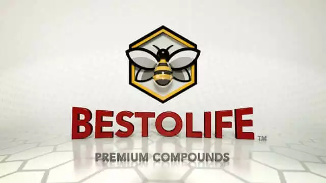 BESTOLIFE – Mr Bee Logo