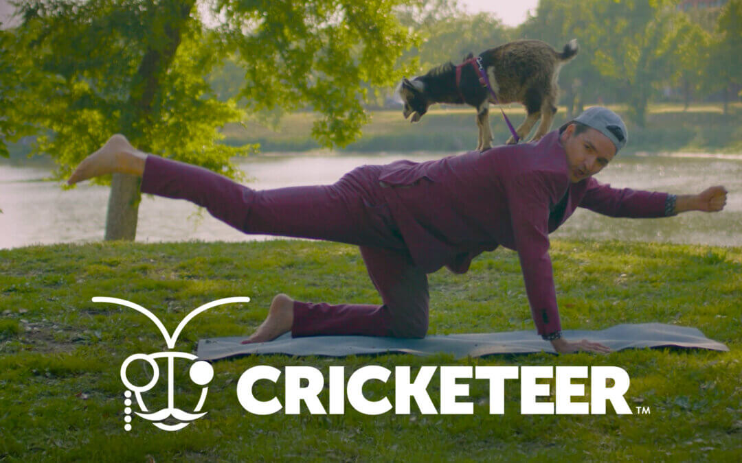 Cricketeer