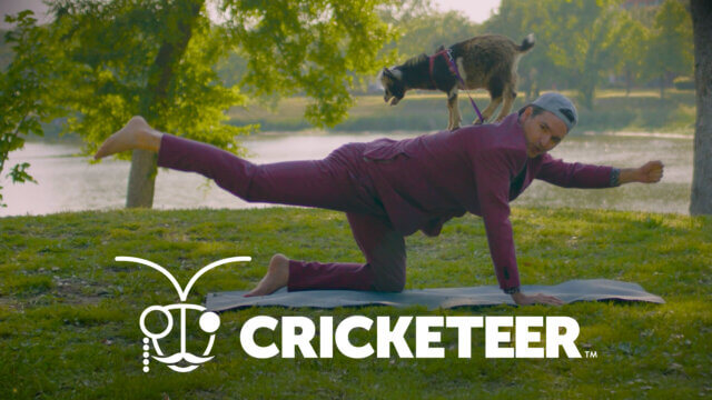 Cricketeer